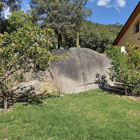Sant Cebrià de Vallalta Casa Feliz 빌라 외부 사진
