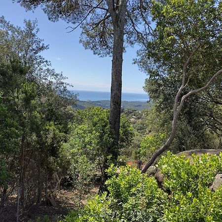 Sant Cebrià de Vallalta Casa Feliz 빌라 외부 사진