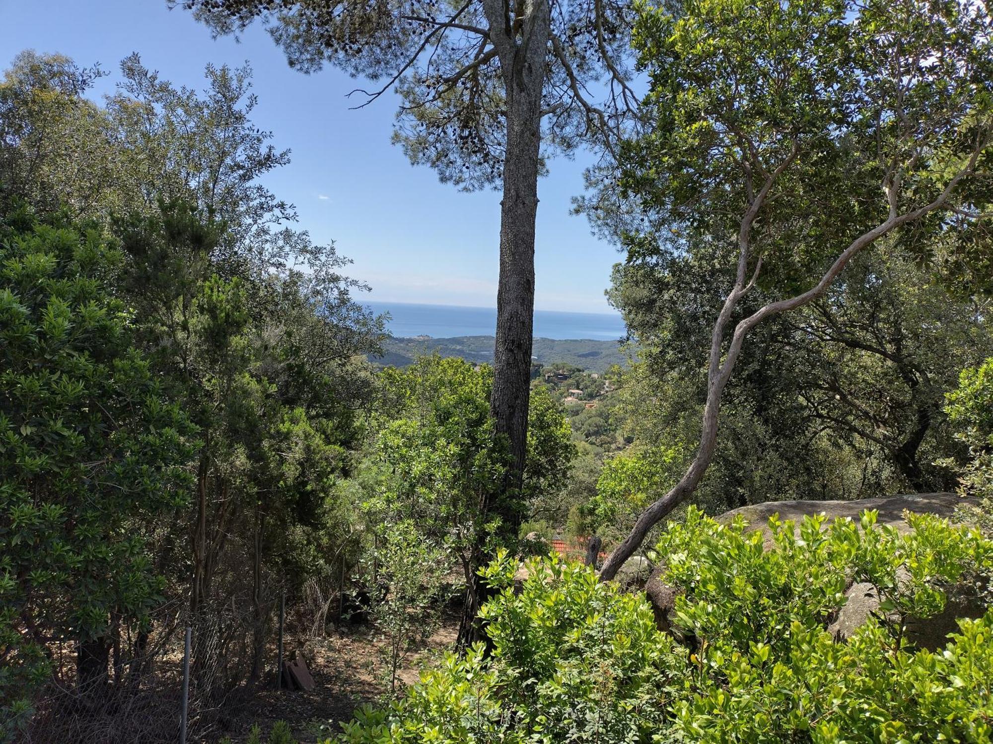 Sant Cebrià de Vallalta Casa Feliz 빌라 외부 사진