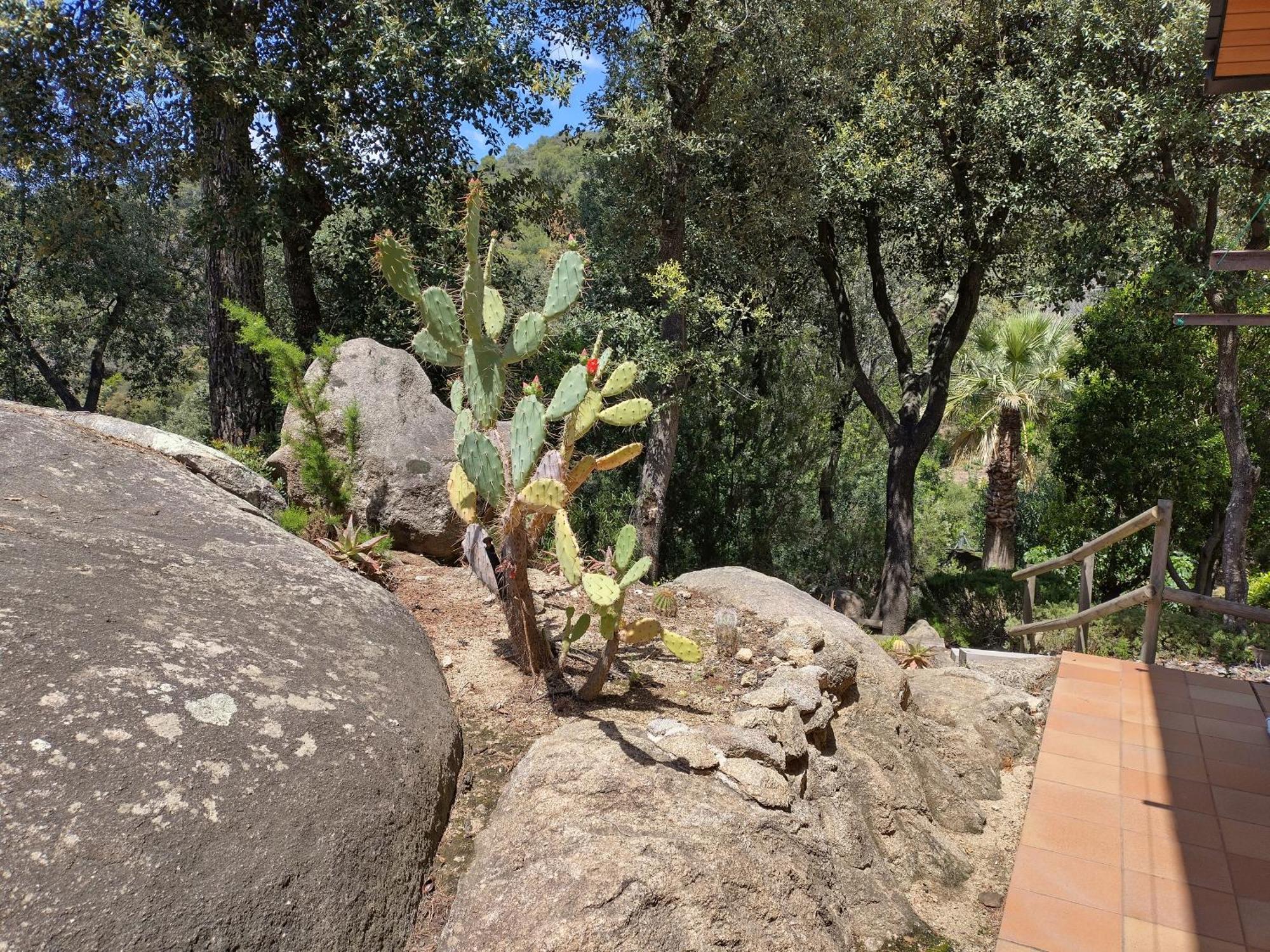 Sant Cebrià de Vallalta Casa Feliz 빌라 외부 사진