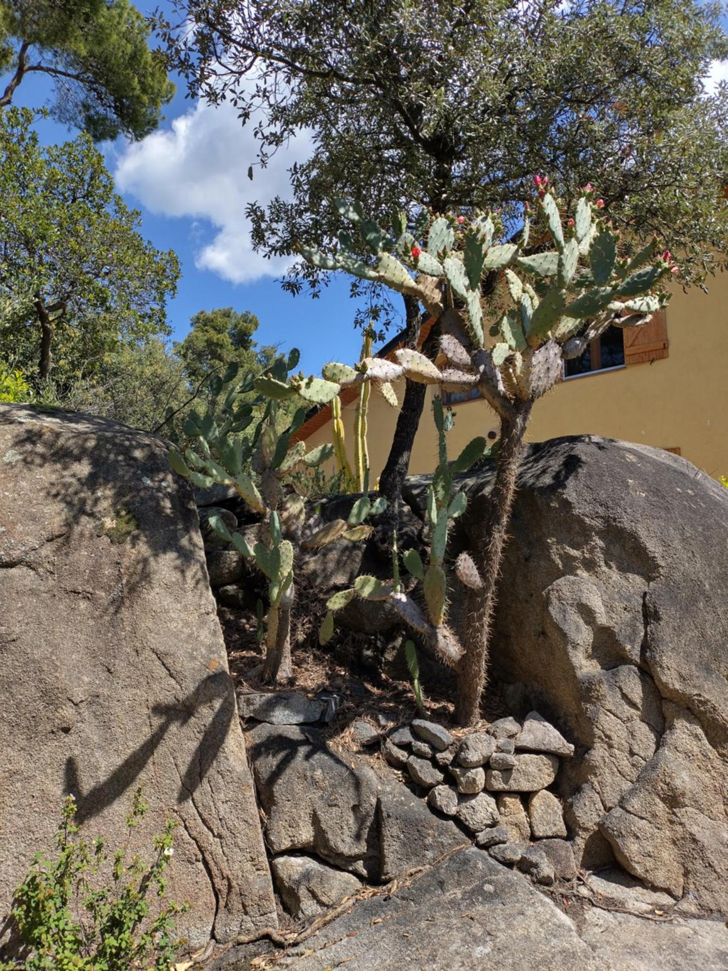 Sant Cebrià de Vallalta Casa Feliz 빌라 외부 사진